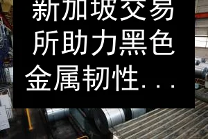 新加坡交易所助力黑色金属韧性：钢需增速放缓