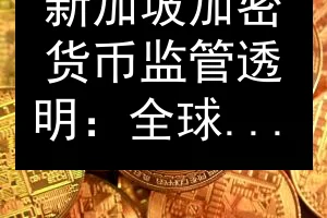 新加坡加密货币监管透明：全球榜首城市解析